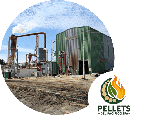 Pellets del Pacífico Nosotros