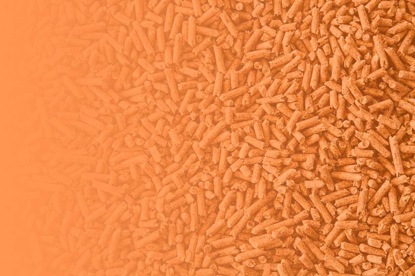 Pellets del Pacífico